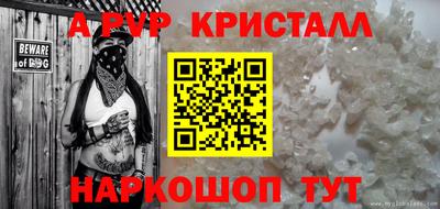 скорость Кингисепп