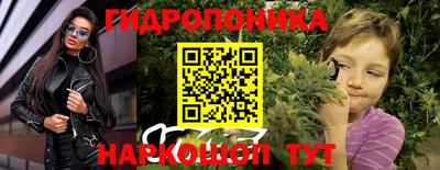скорость Кингисепп