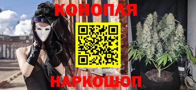 скорость Кингисепп