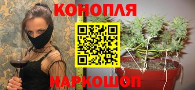 скорость Кингисепп