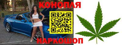 гидра Кинель