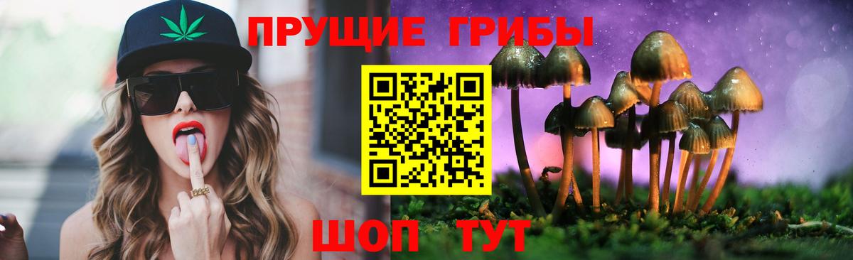Иркутск  купить закладку  Вход с VPN  Галлюциногенные грибы прущие грибы 
